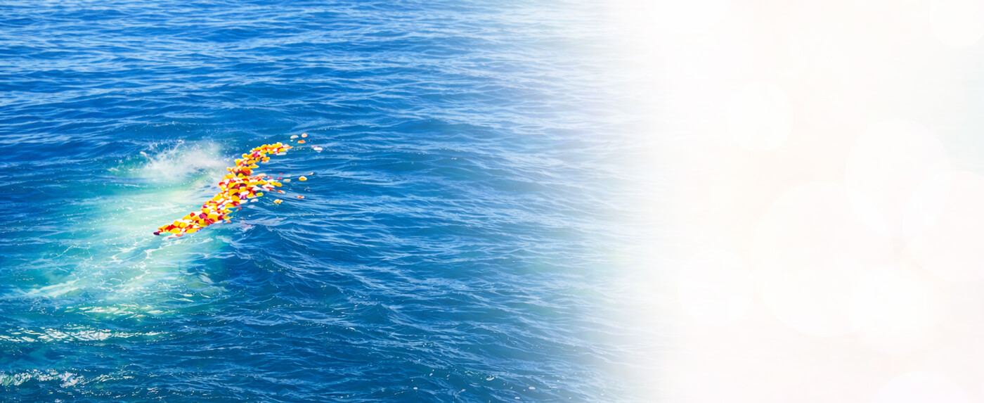 粉骨や自然葬業者の海洋散骨サービス