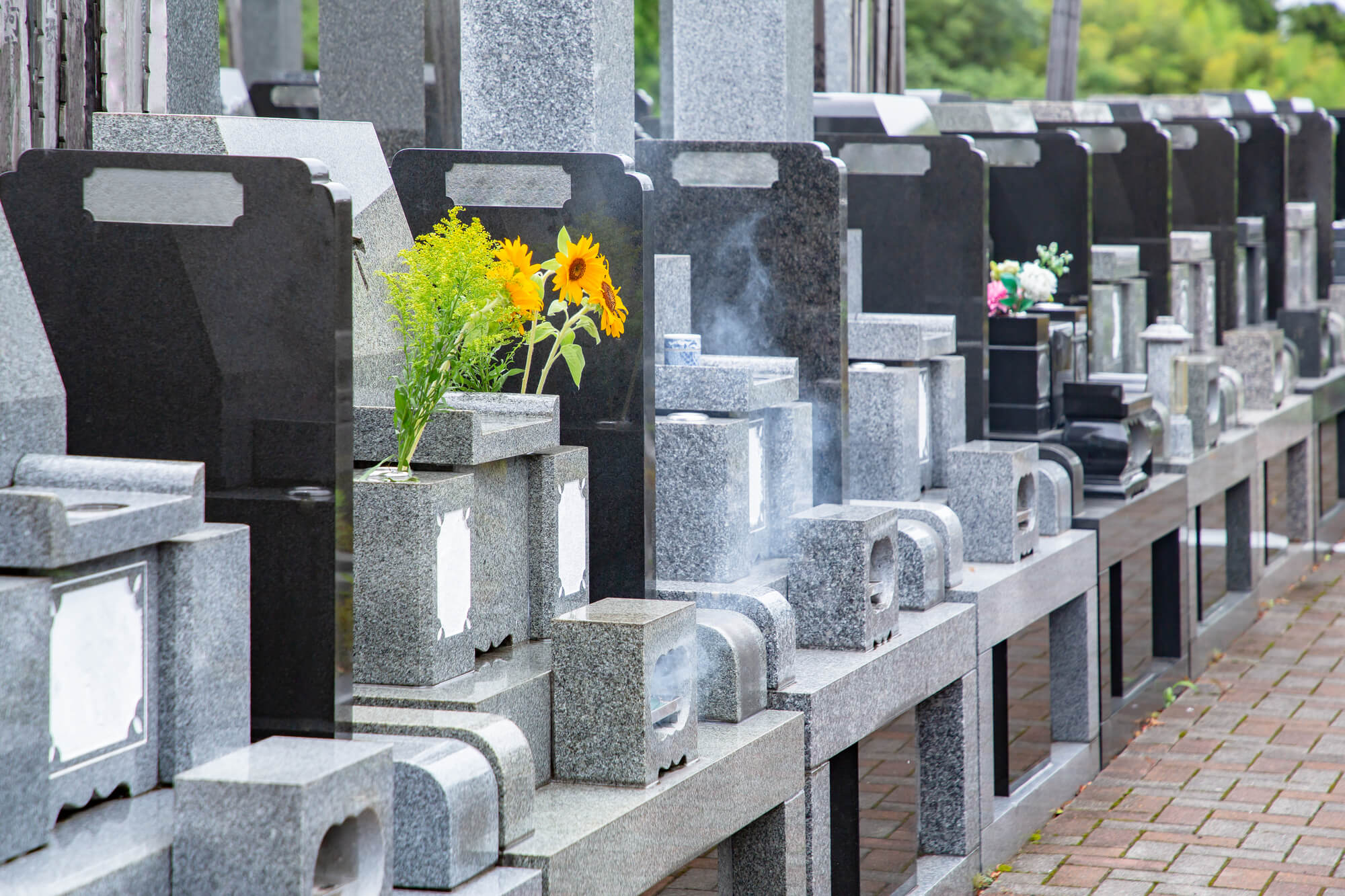 小平霊園の基本情報