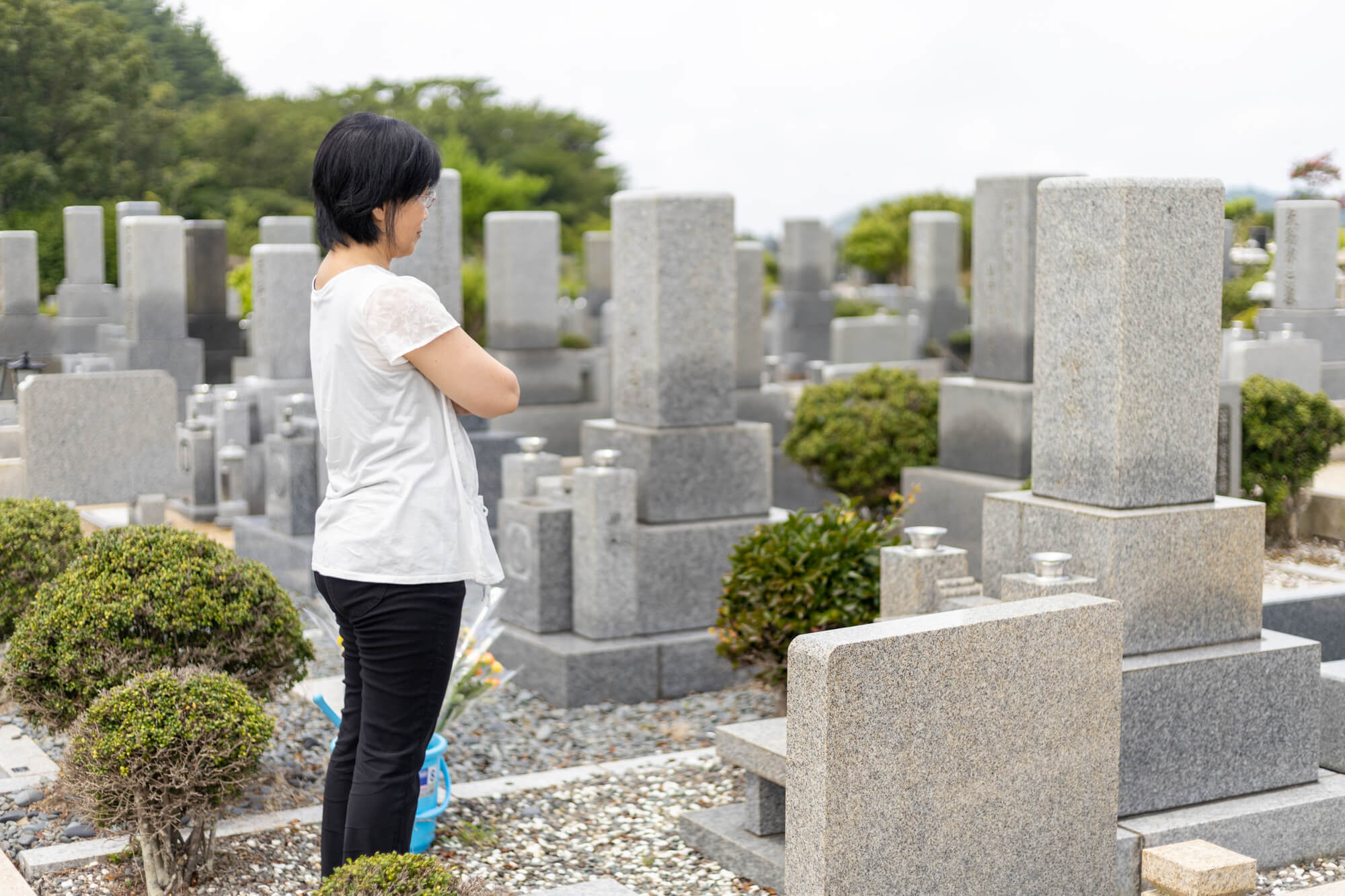 墓じまいをする人が増えている理由