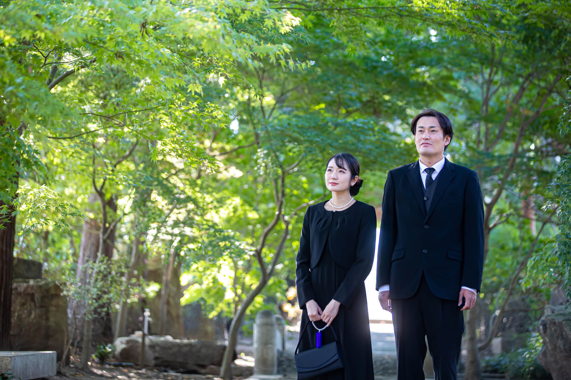 雑司ケ谷霊園に樹木葬はあるのか?