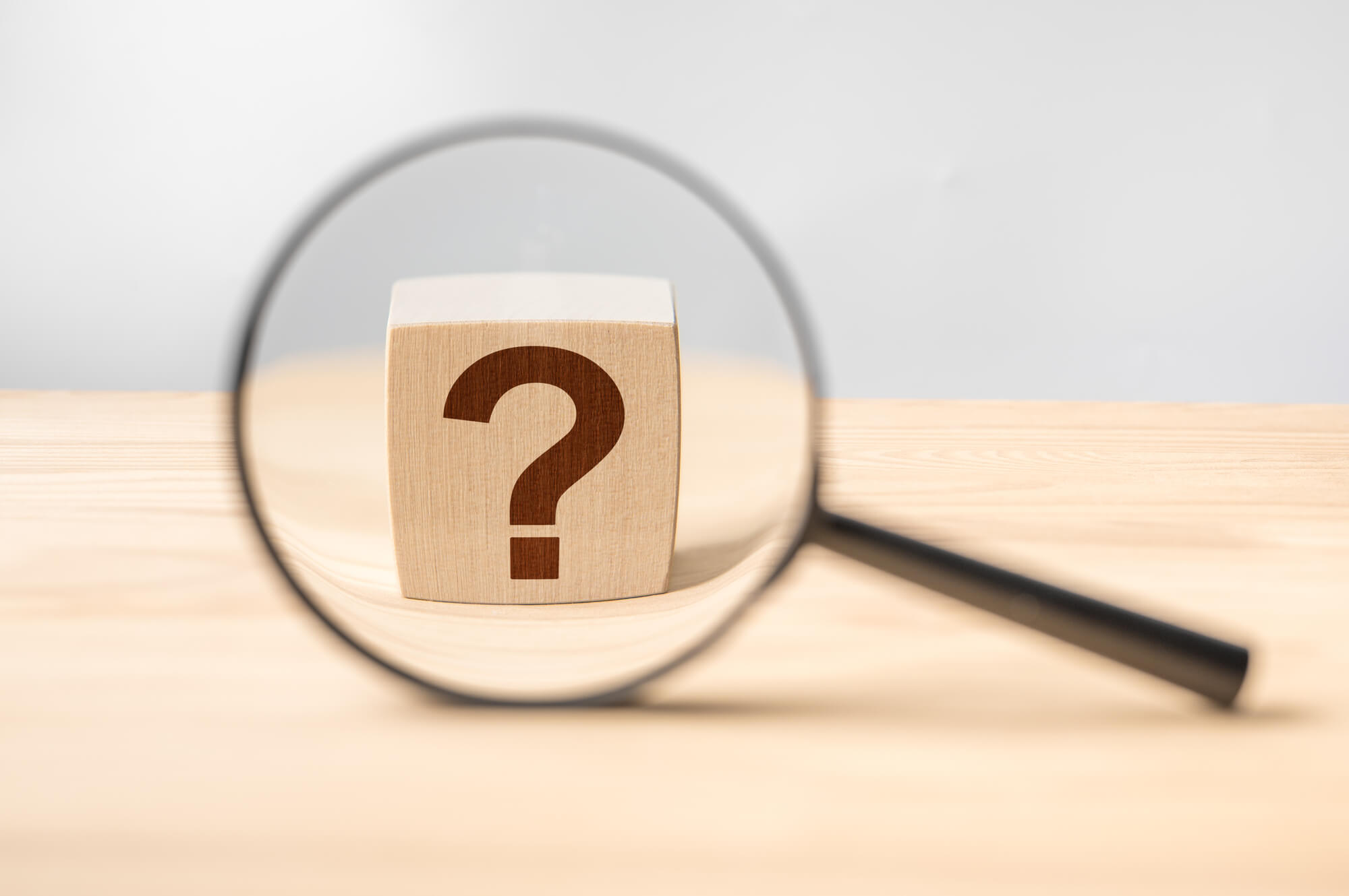 雑司ケ谷霊園の公募受付状況と倍率(2025年度)